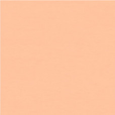 Напольное ПВХ-покрытие TARKETT WALLGARD - Orange, 2000 мм, 60 м2/рул